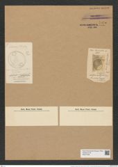 Pseudauliscus ambiguus (Grev.) Rattr. (de-Toni-Nr.: Genus 172, Species 4408) Zeichnungen Sammlung Grunow Nr. 7970 (NHMW-BOT-W0377259)